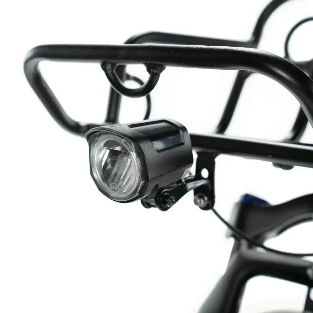 Engwe L20 - Fatbike - Grün