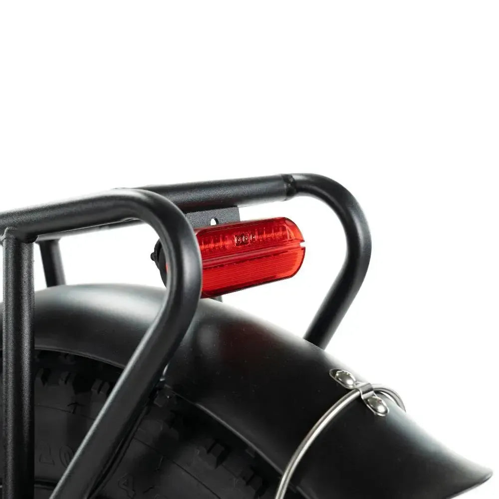 Engwe L20 - Fatbike - Grün