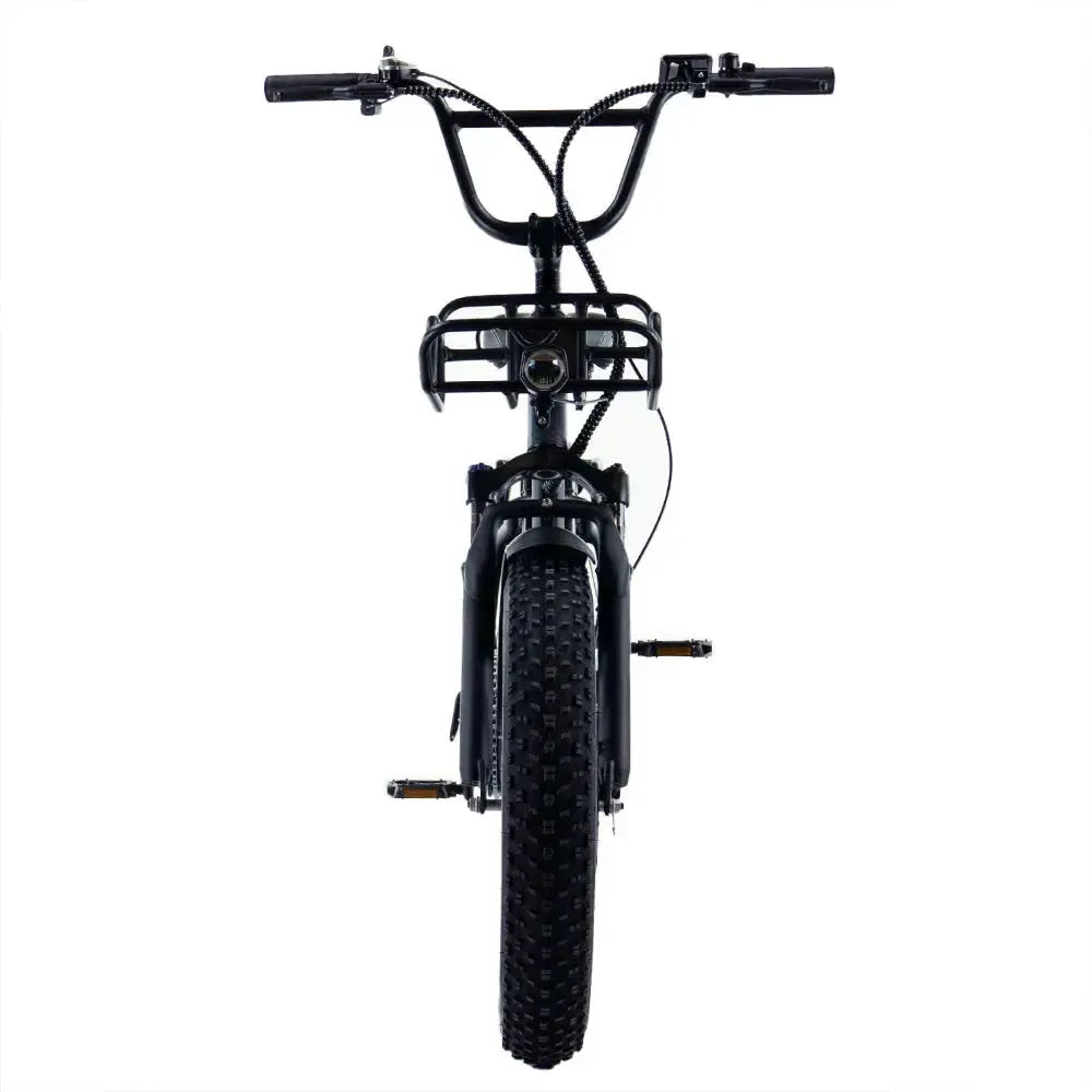 Engwe L20 - Fatbike - Schwarz