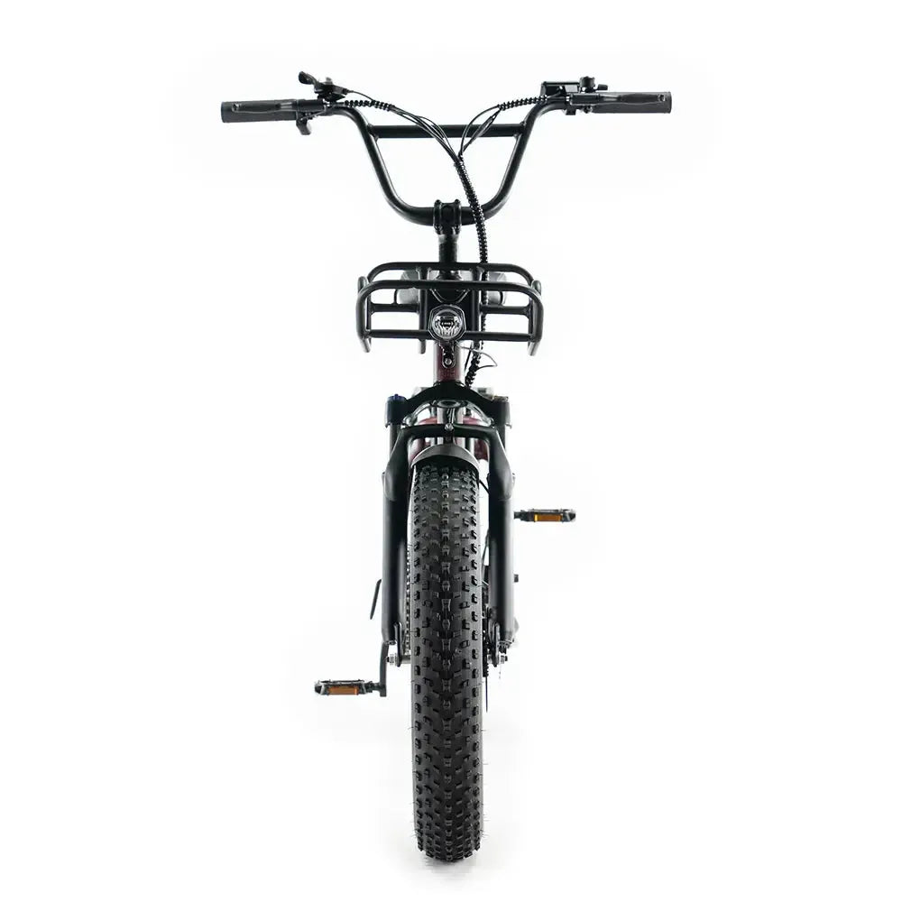 Familienangebot! | ENGWE - L20 Boost - Rot
