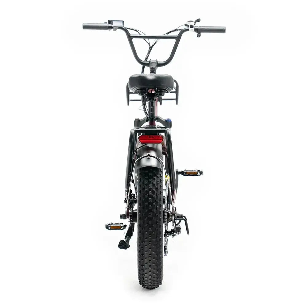 Familienangebot! | ENGWE - L20 Boost - Rot