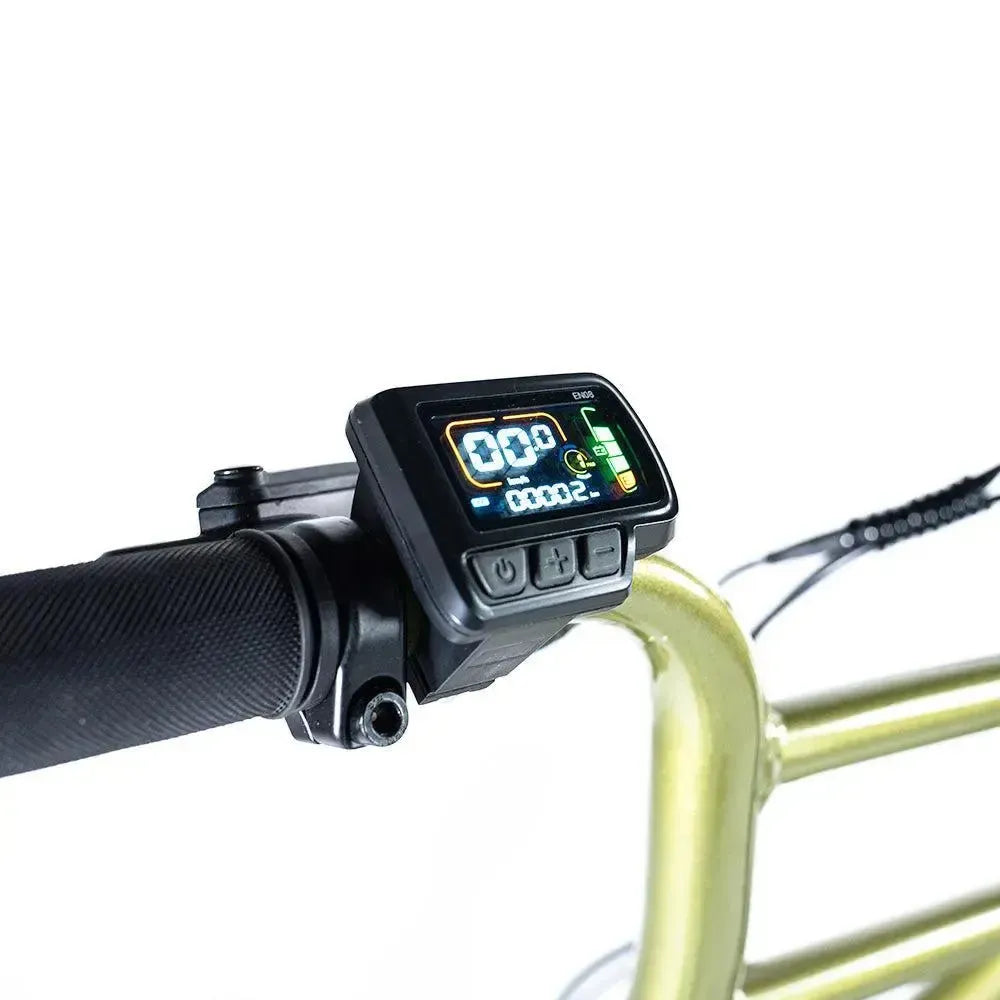 Grandeux - Fatbike - Xplore - Grün