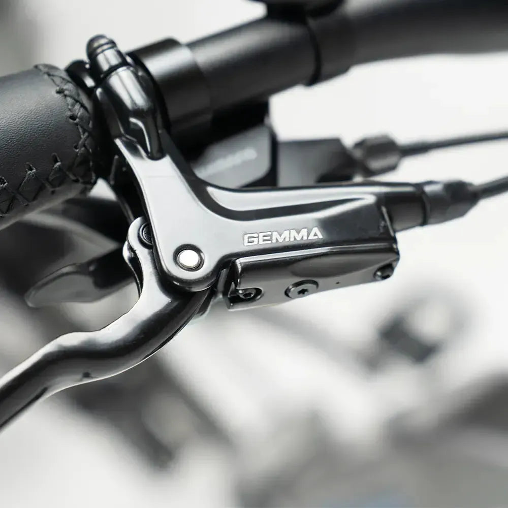 JOBOBIKE Romer Pro - Grau