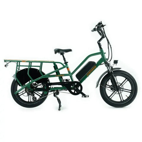 JOBOBIKE Transer - Longtail - Grün