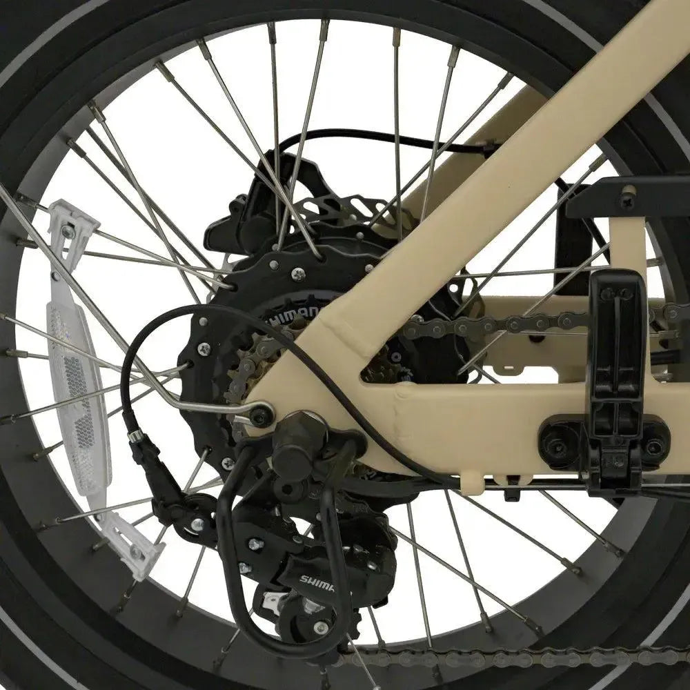 Knaap - Fatbike - LON - Sand