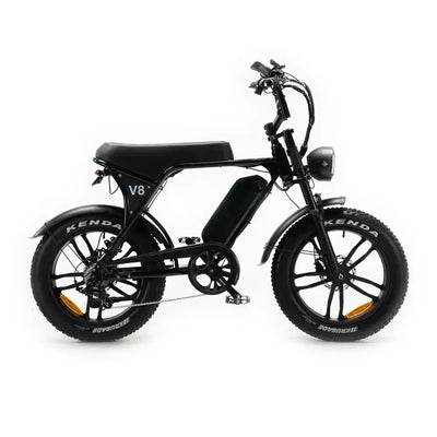 Fatbikes