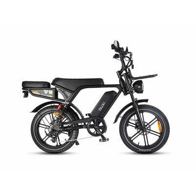 Fatbikes