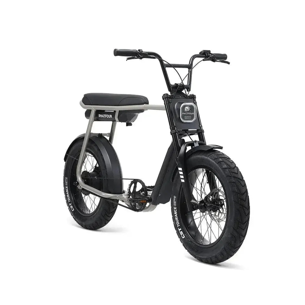 Phatfour FLX+ - Fatbike - Grau