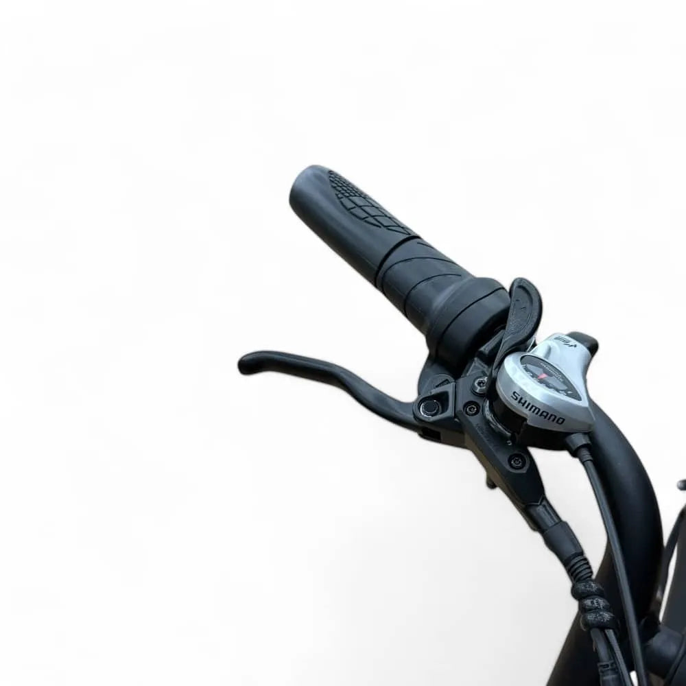 V20 Pro 4.0 2025 (Kombipaket) + Alarmsystem + Rücksitz + Fußstützen + Gasgriff