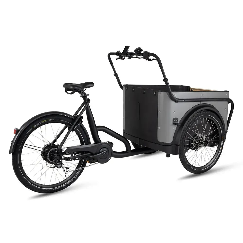 Royal Cargo Bike 3W Eco - Grau