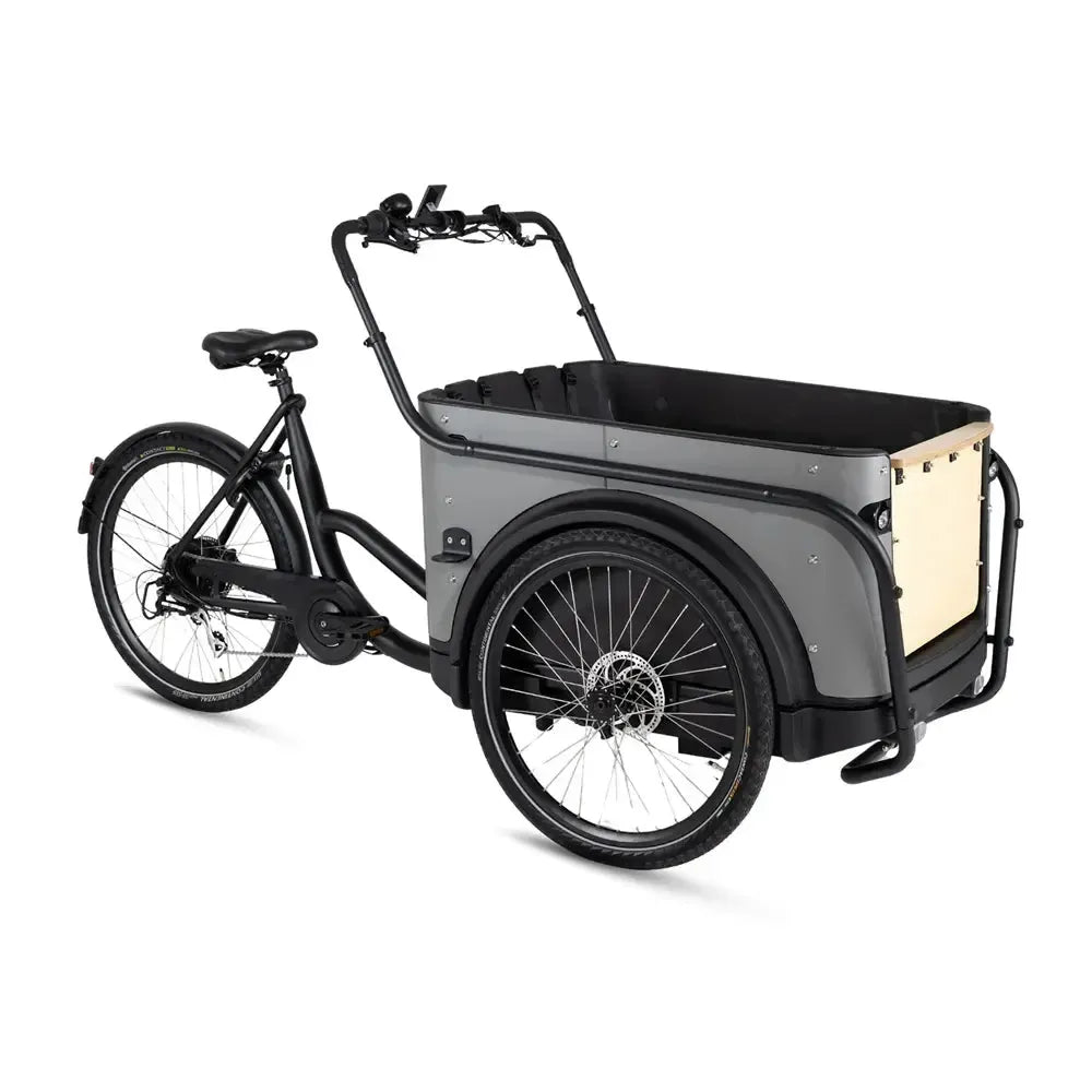 Royal Cargo Bike 3W Eco - Grau