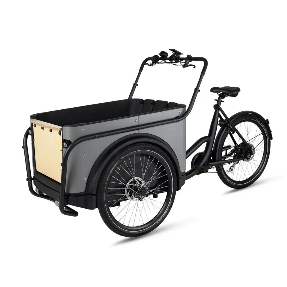 Royal Cargo Bike 3W Eco - Grau