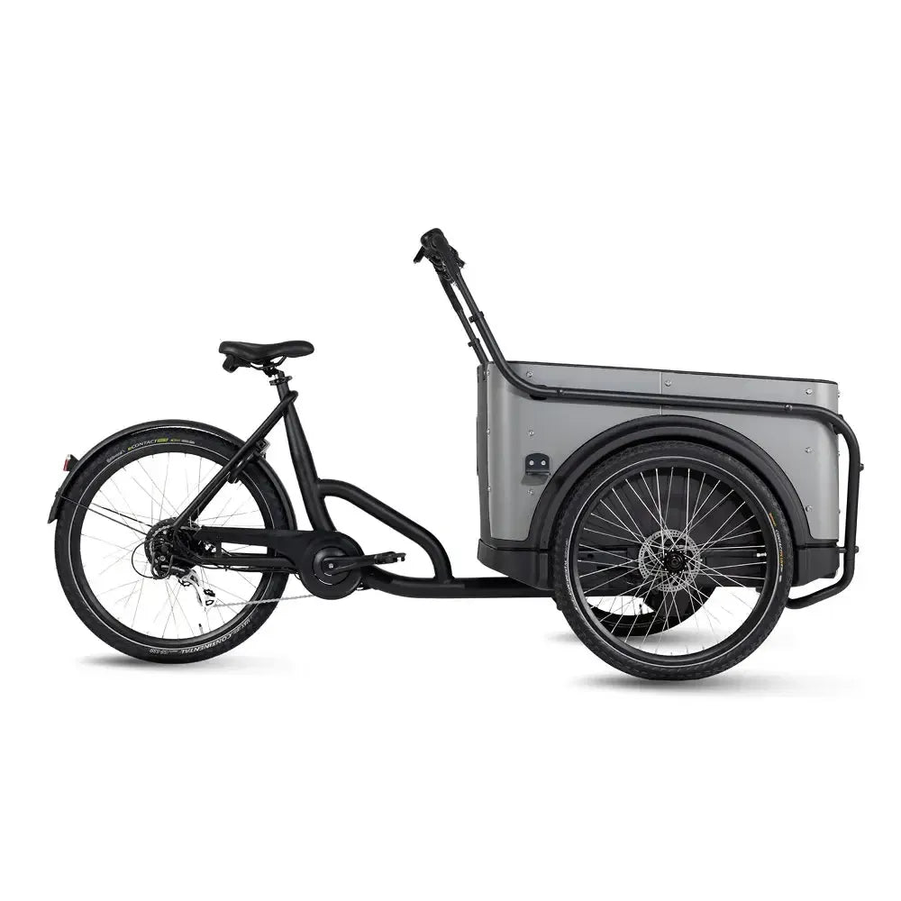 Royal Cargo Bike 3W Eco - Grau