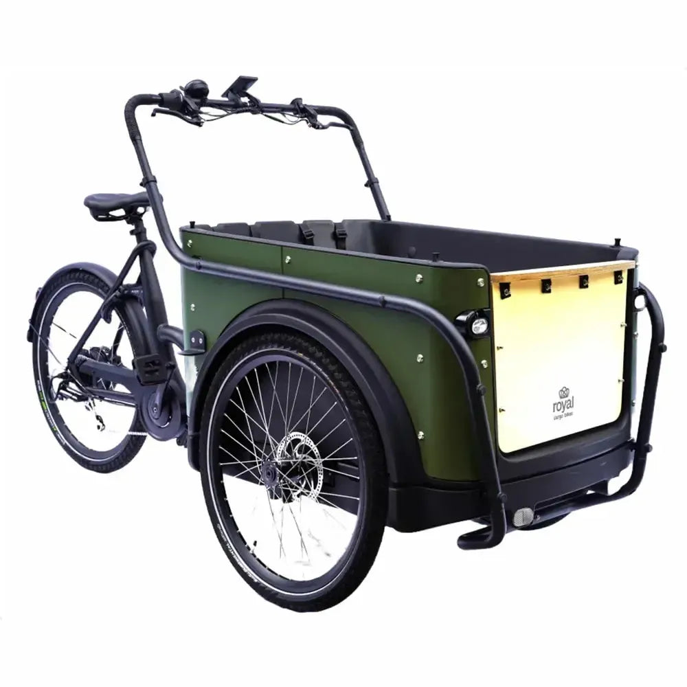 Royal Cargo Bike 3W Eco - Grün