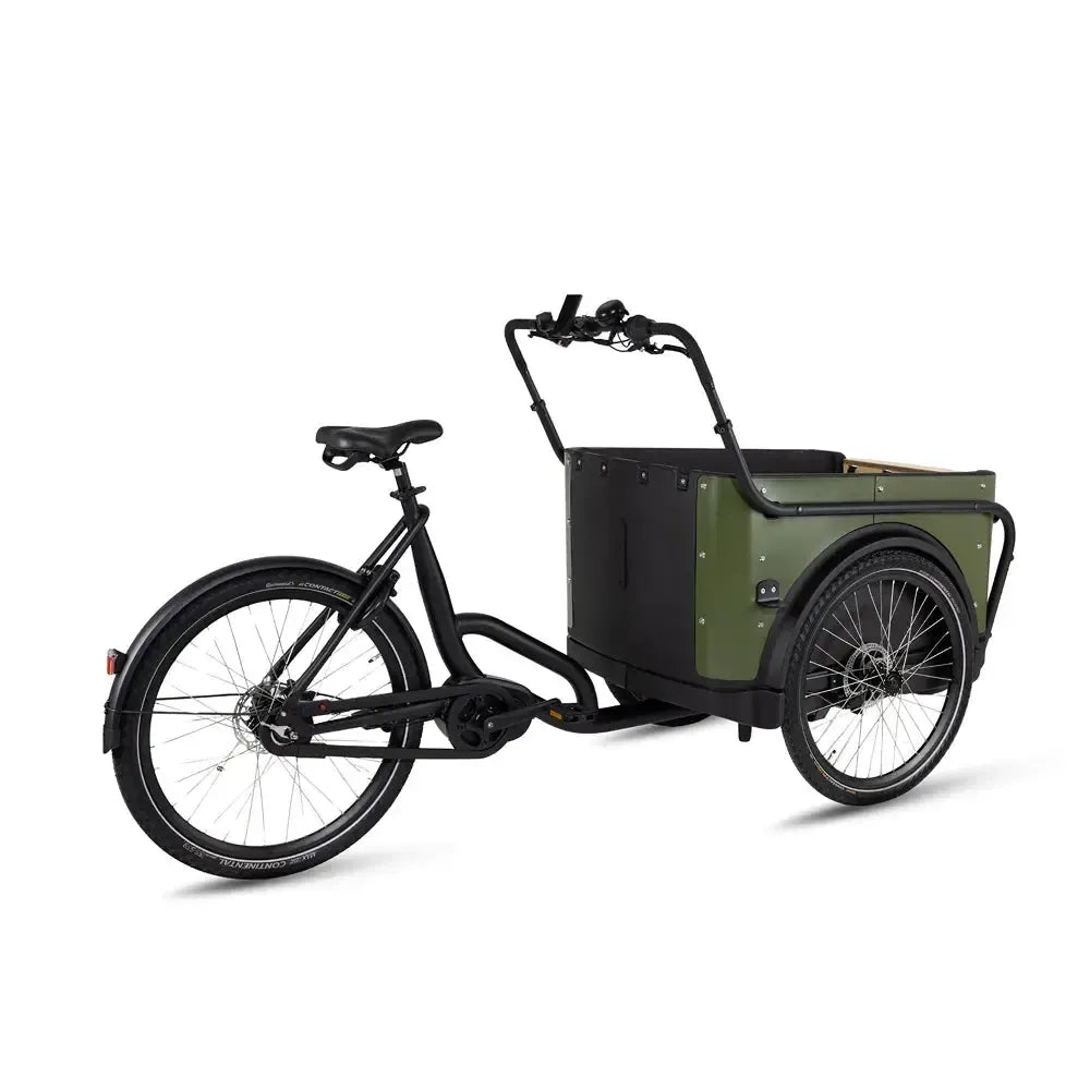 Royal Cargo Bike 3W Premium - Grün