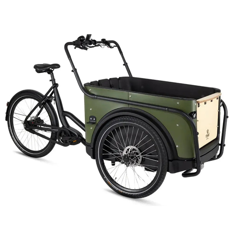 Royal Cargo Bike 3W Premium - Grün