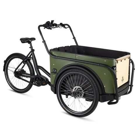 Royal Cargo Bike 3W Premium - Grün