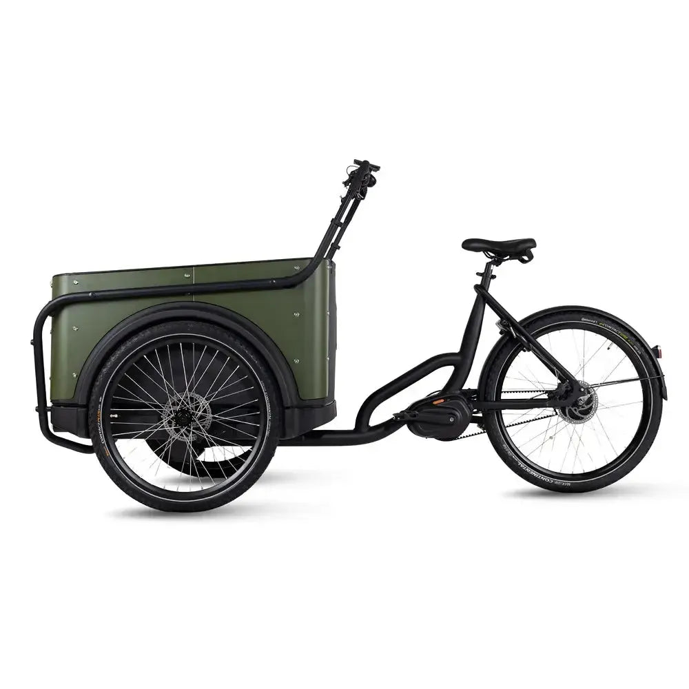Royal Cargo Bike 3W Premium Plus - Grün