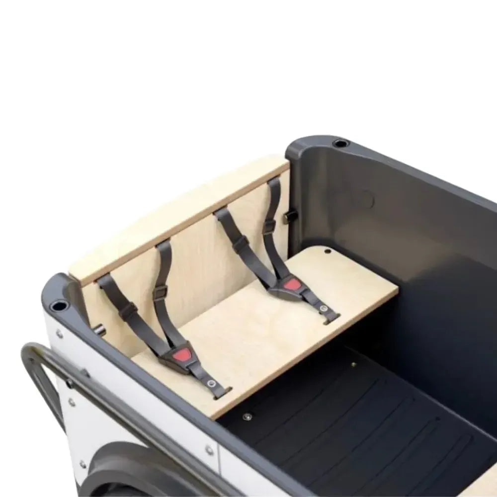 Royal Cargo Bike 3W Premium Plus - Grün