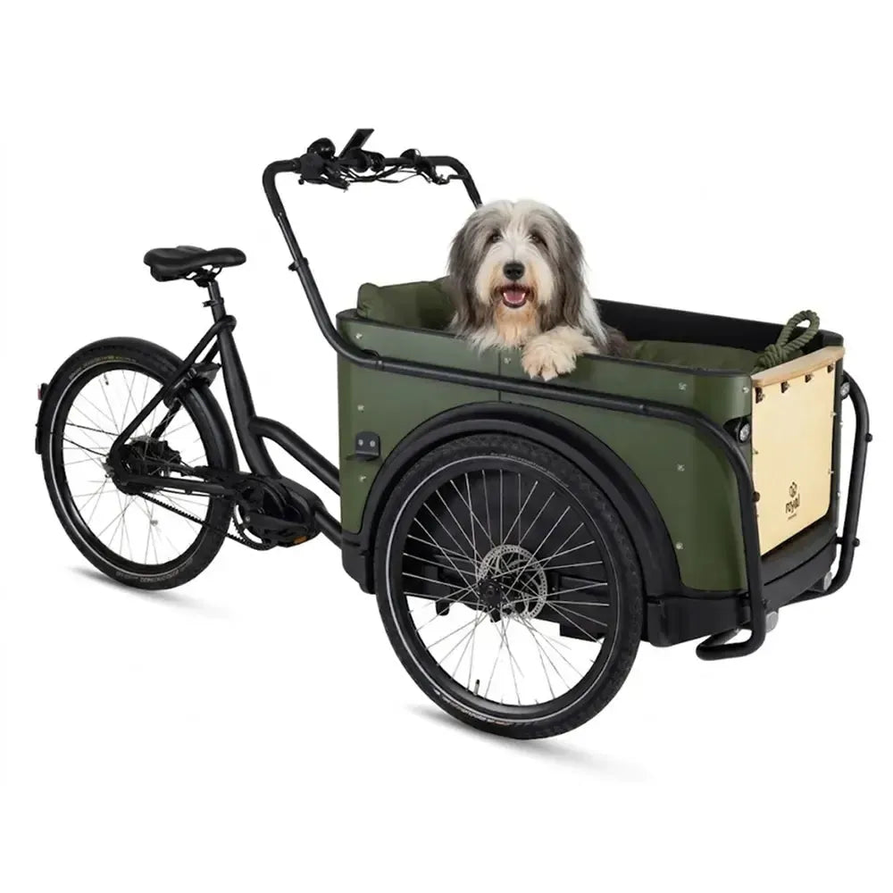 Royal Cargo Bike 3W Premium Plus - Grün
