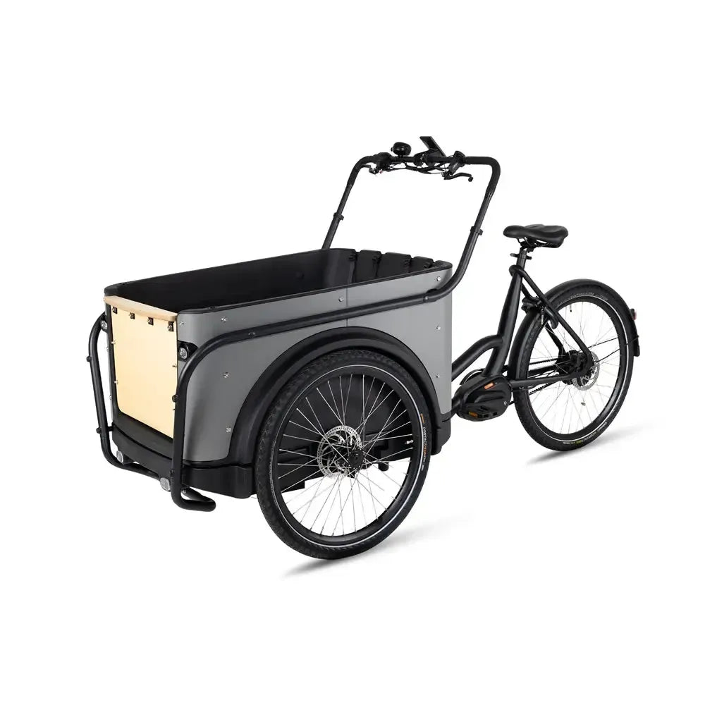 Royal Cargo Bike 3W Premium Plus - Taupe Grau