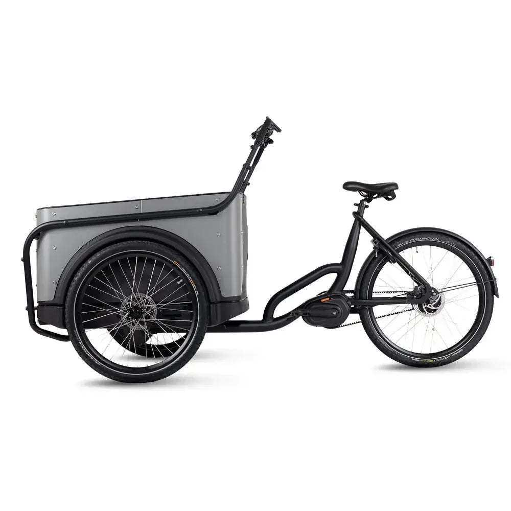 Royal Cargo Bike 3W Premium Plus - Taupe Grau