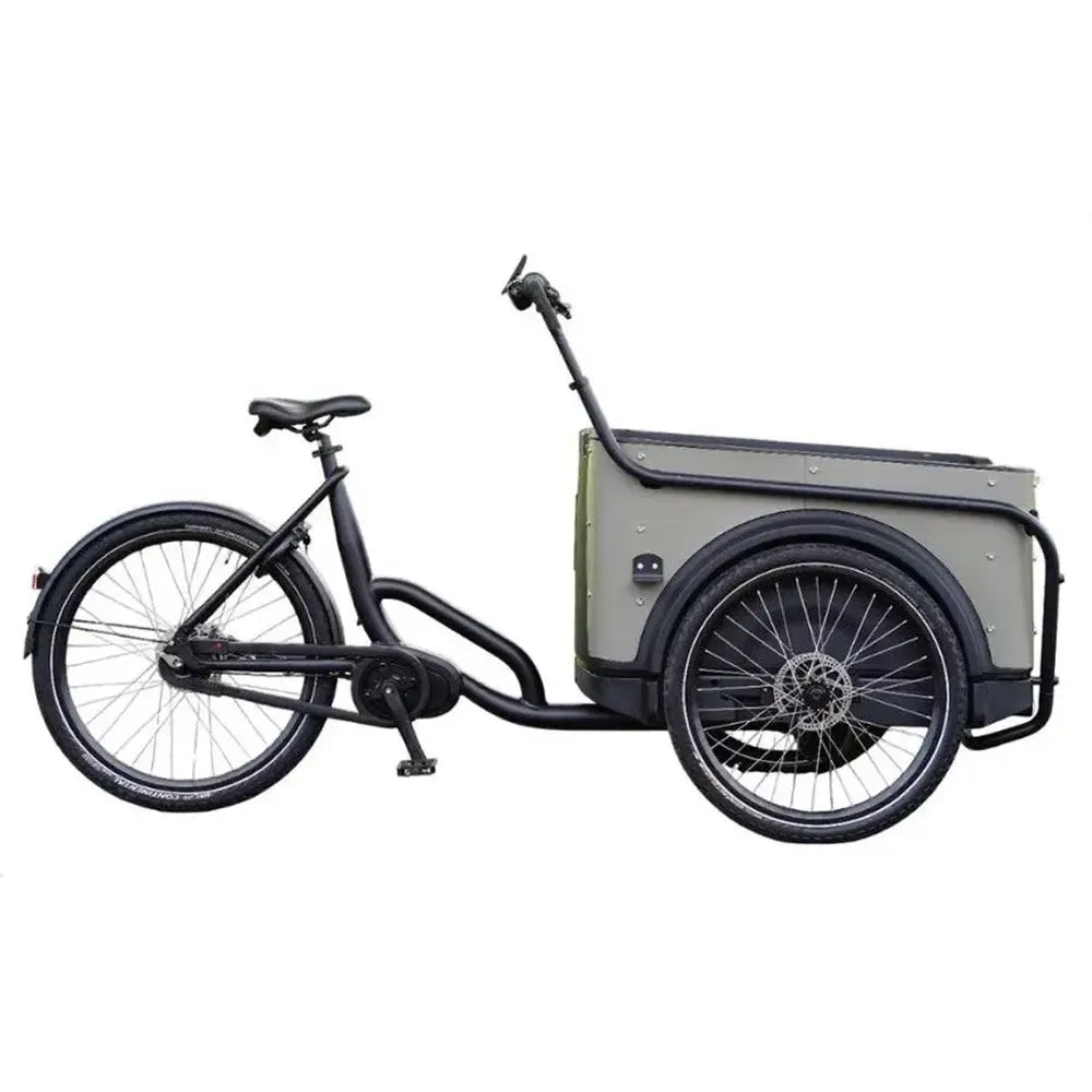 Royal Cargo Bike 3W Premium Plus - Taupe Grau