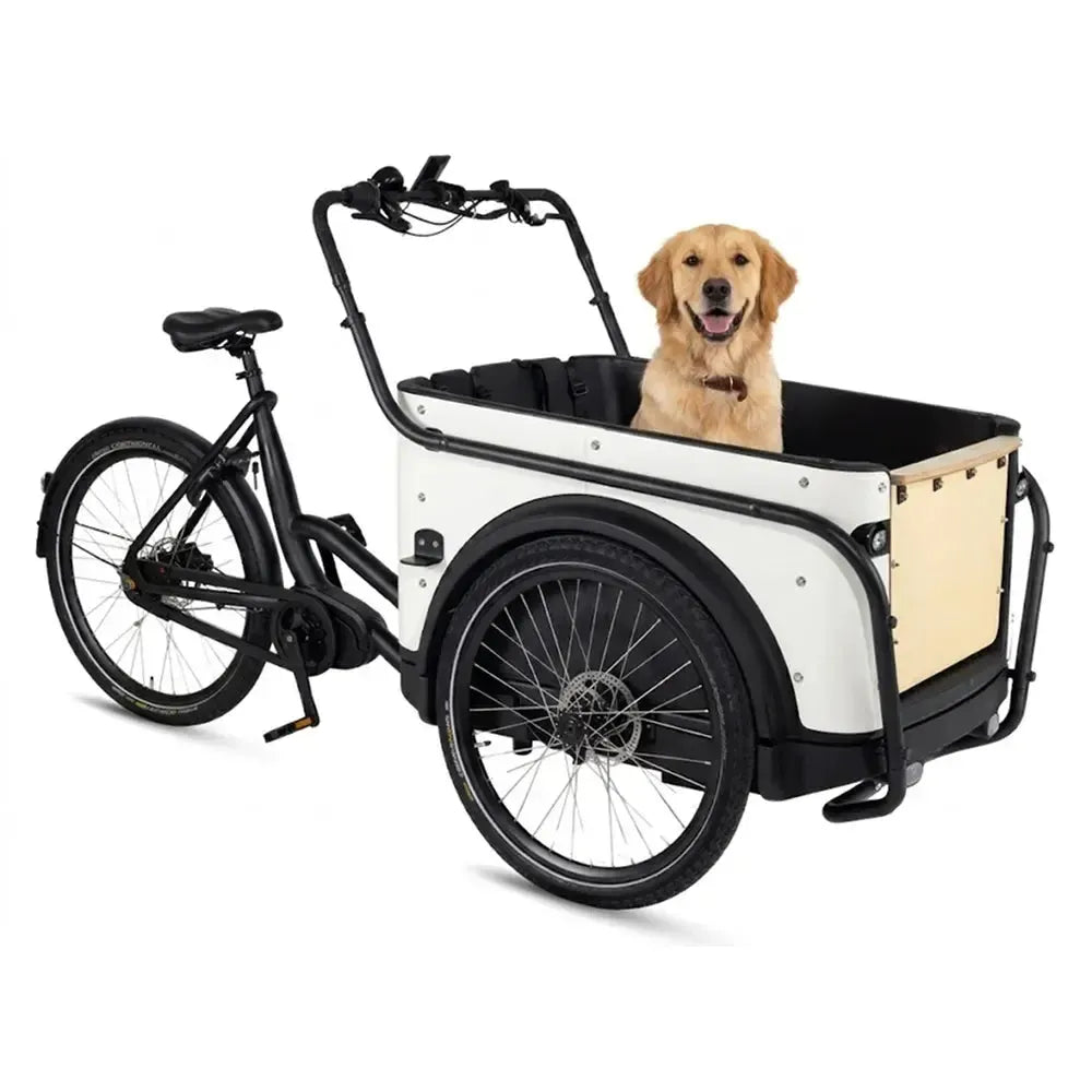 Royal Cargo Bike 3W Premium - Weiß
