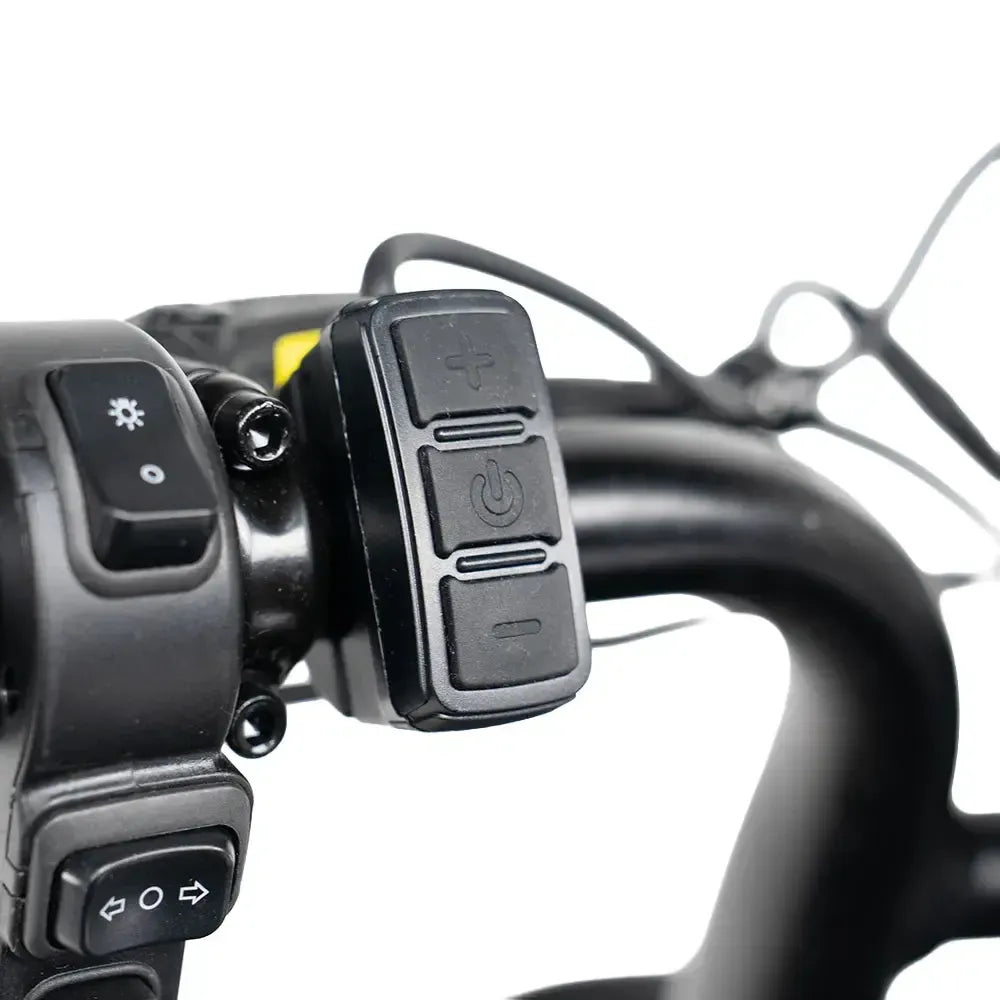 S20 Pro – Schwarz (V20)