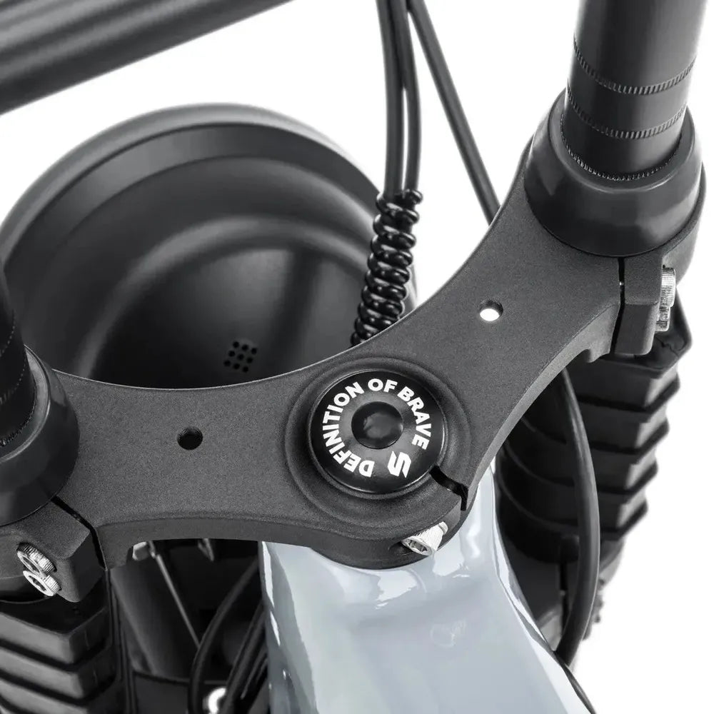STOER Bikes Urban X - Fatbike - Grau