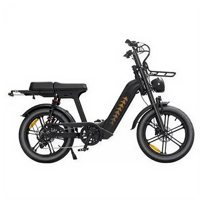 Fatbikes