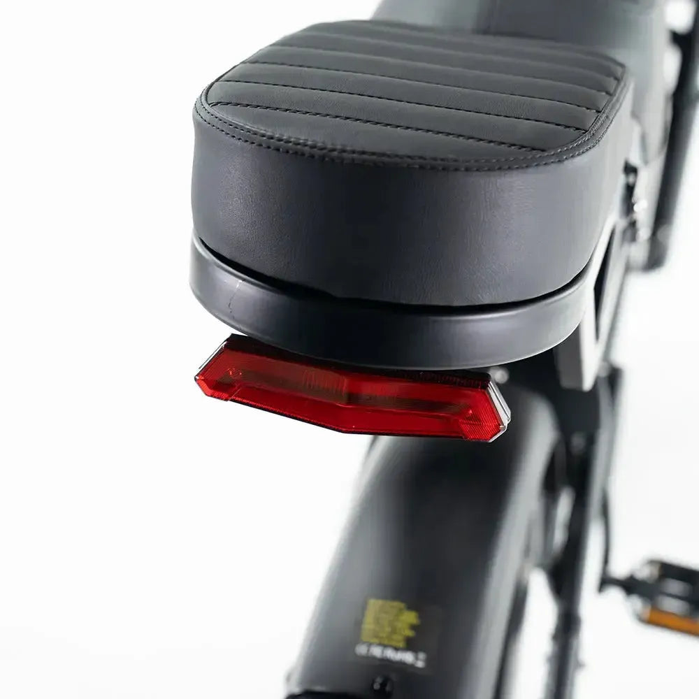 V20 Pro 5.0 Grau - Fatbike - Hydraulische Bremsen
