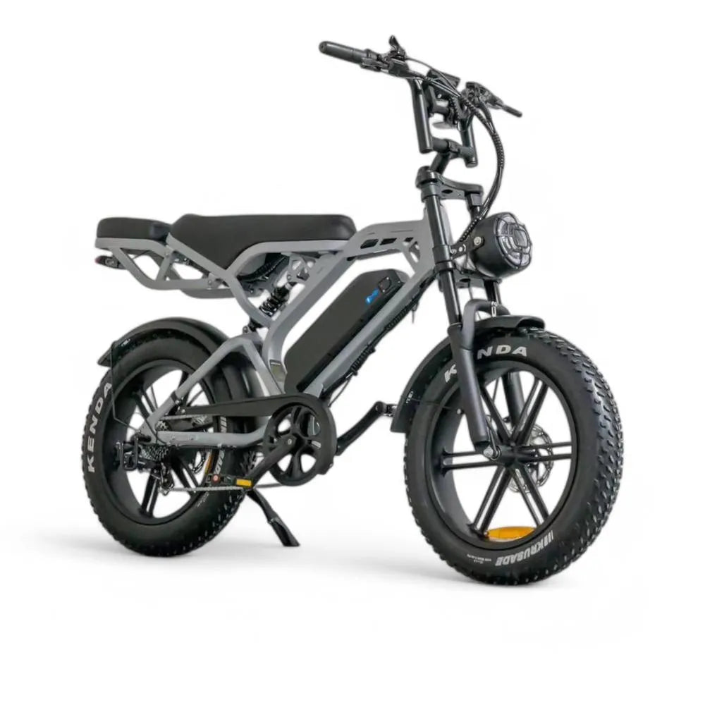 V20 Pro 5.0 Grau - Fatbike - Hydraulische Bremsen