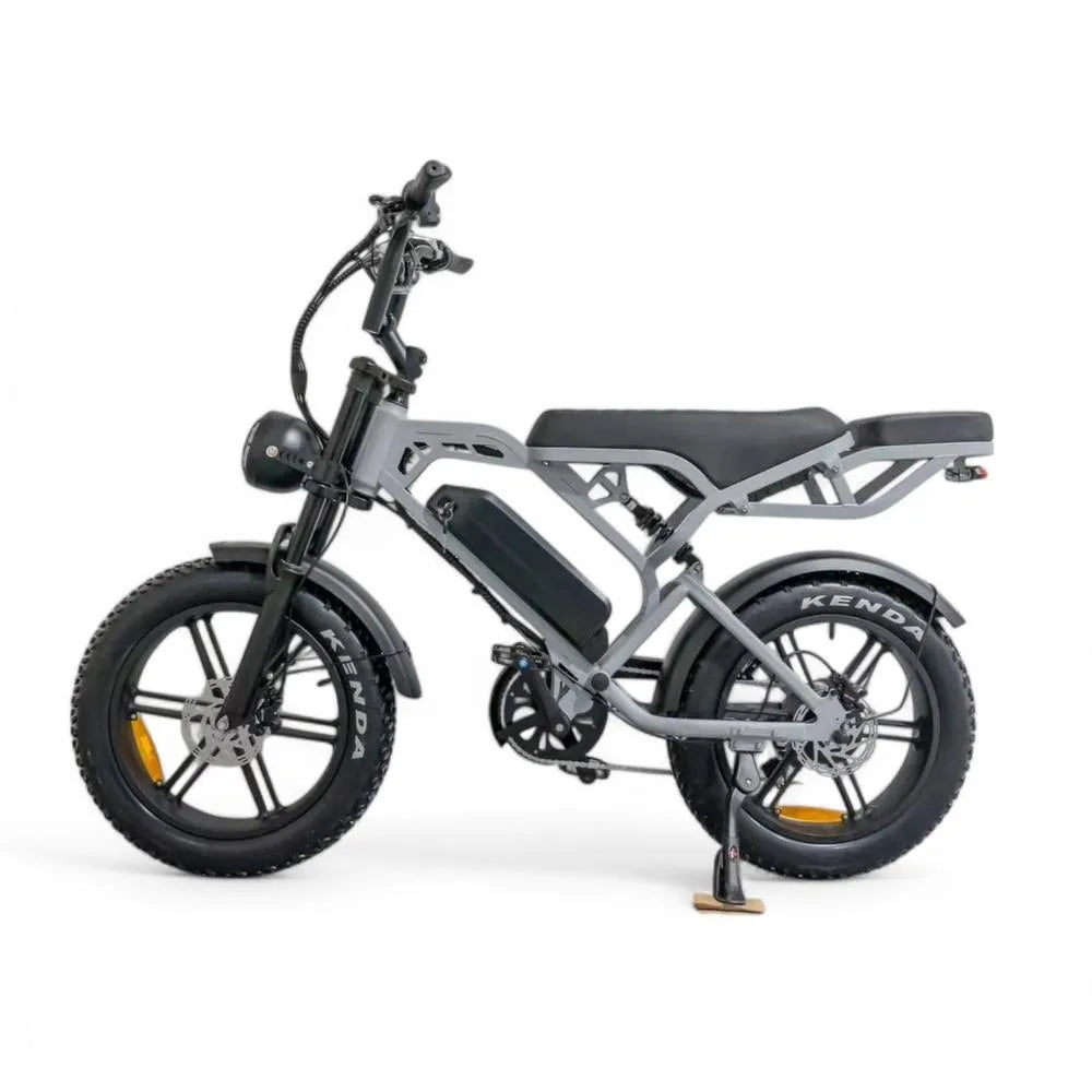 V20 Pro 5.0 Grau - Fatbike - Hydraulische Bremsen