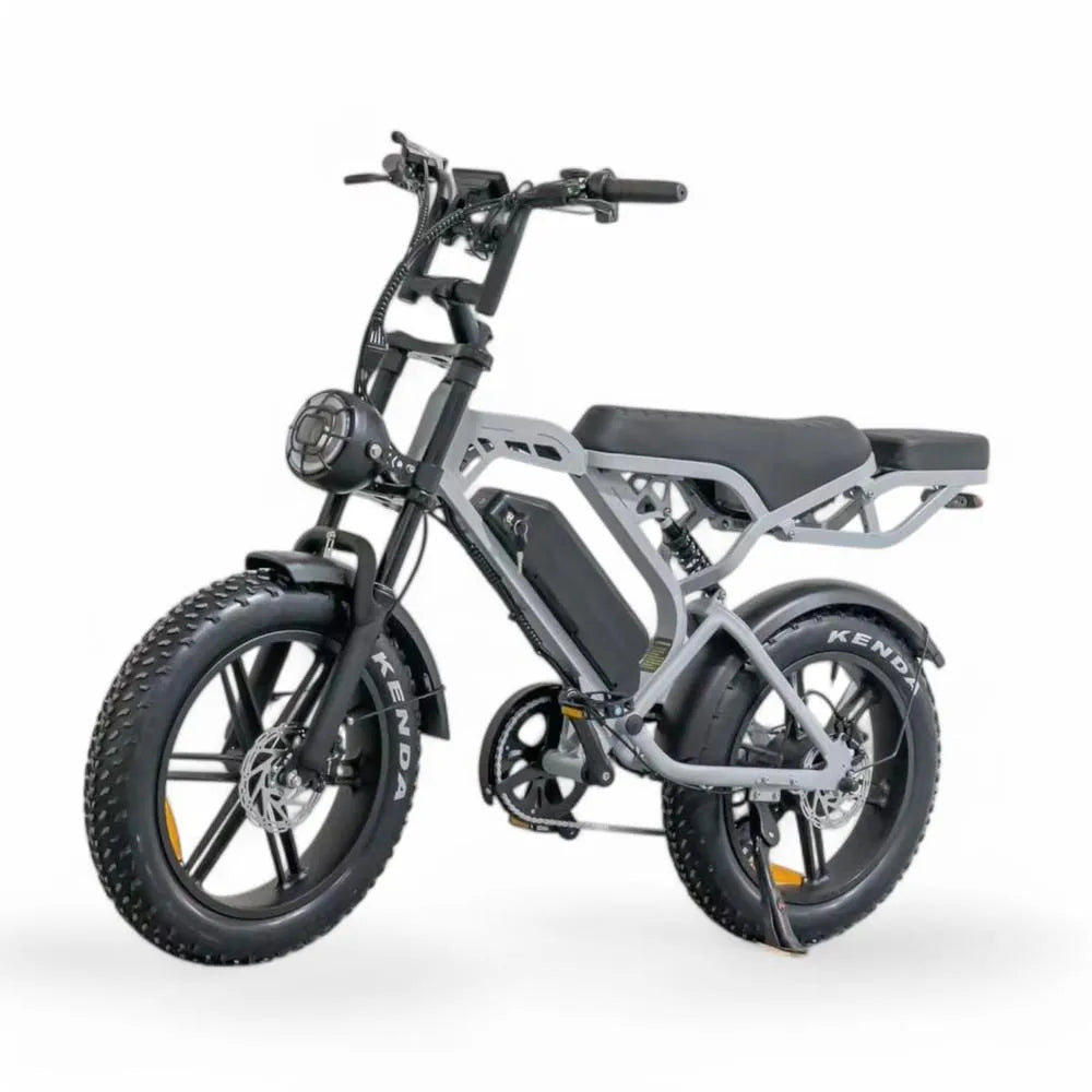 V20 Pro 5.0 Grau - Fatbike - Hydraulische Bremsen