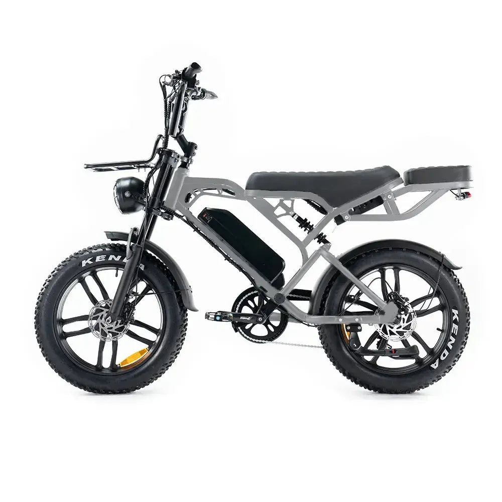 V20 Pro 5.0 Grau - Fatbike - Hydraulische Bremsen