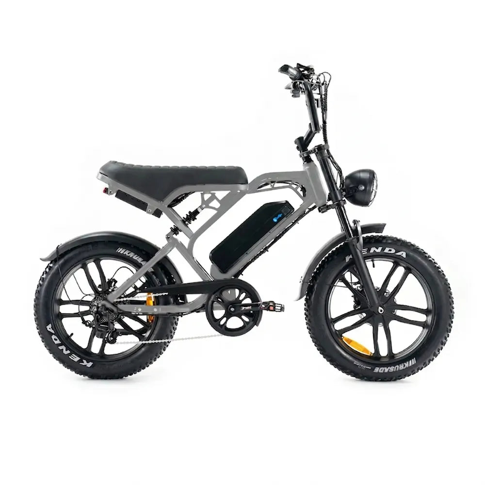 V20 Pro 5.0 Grau - Fatbike - Hydraulische Bremsen
