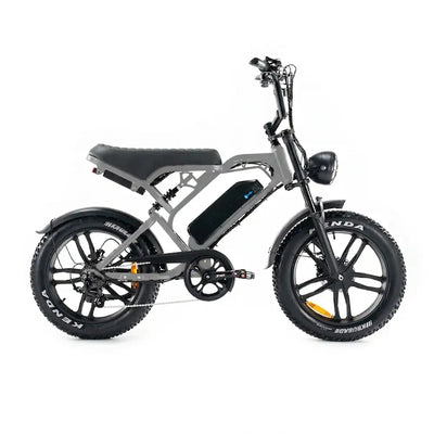 Fatbikes
