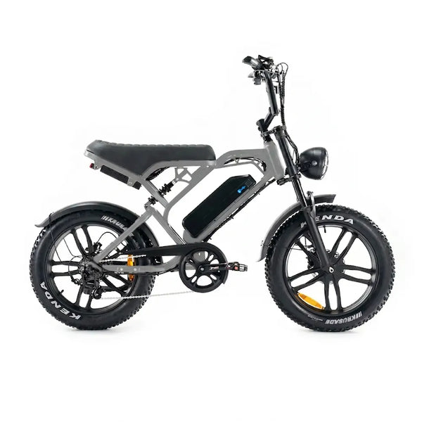 V20 Pro 5.0 Grau - Fatbike - Hydraulische Bremsen