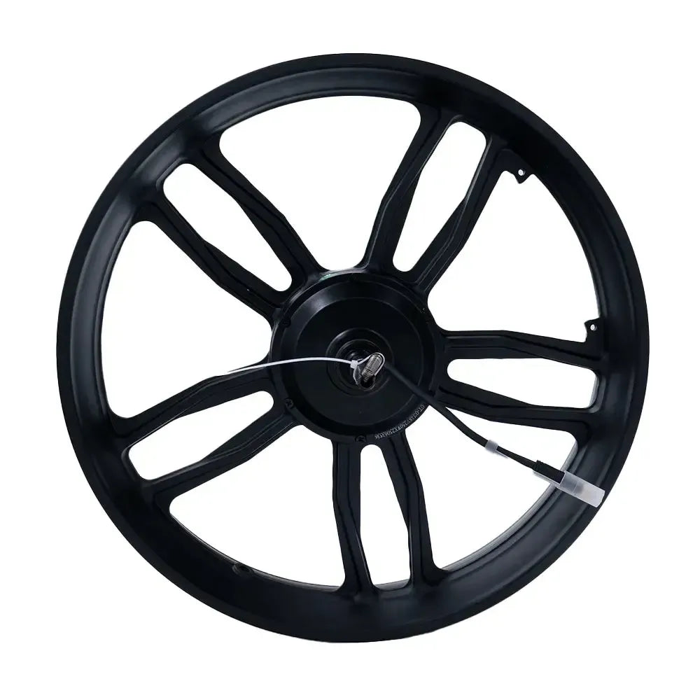 V20/S20 - Motor - Mit Felge - 250 Watt - schwarzes Kabel