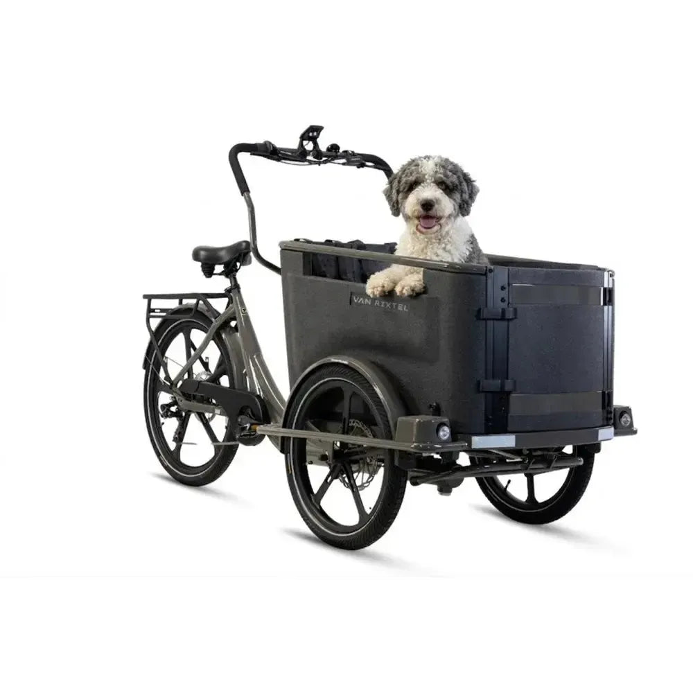 Van Rixtel Dog - Graphit