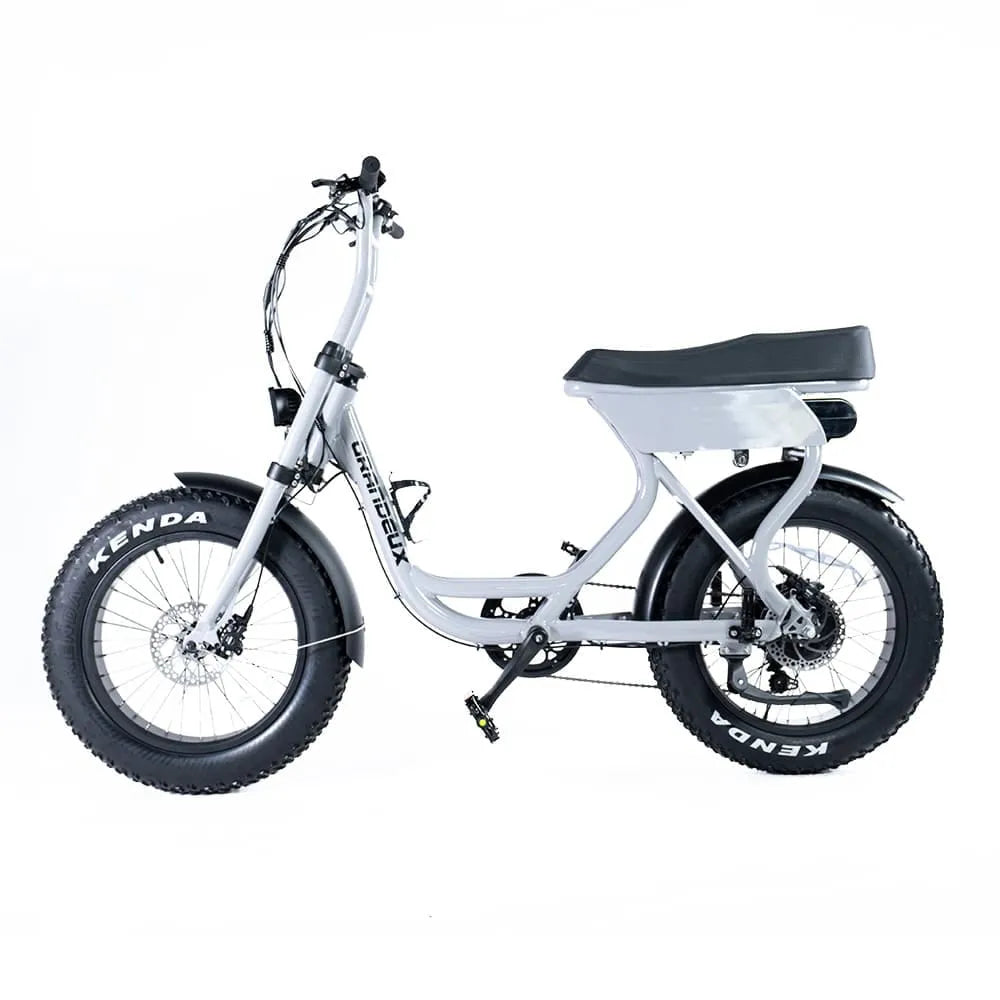 Grandeux - Fettfahrrad - Erforschen - Grau