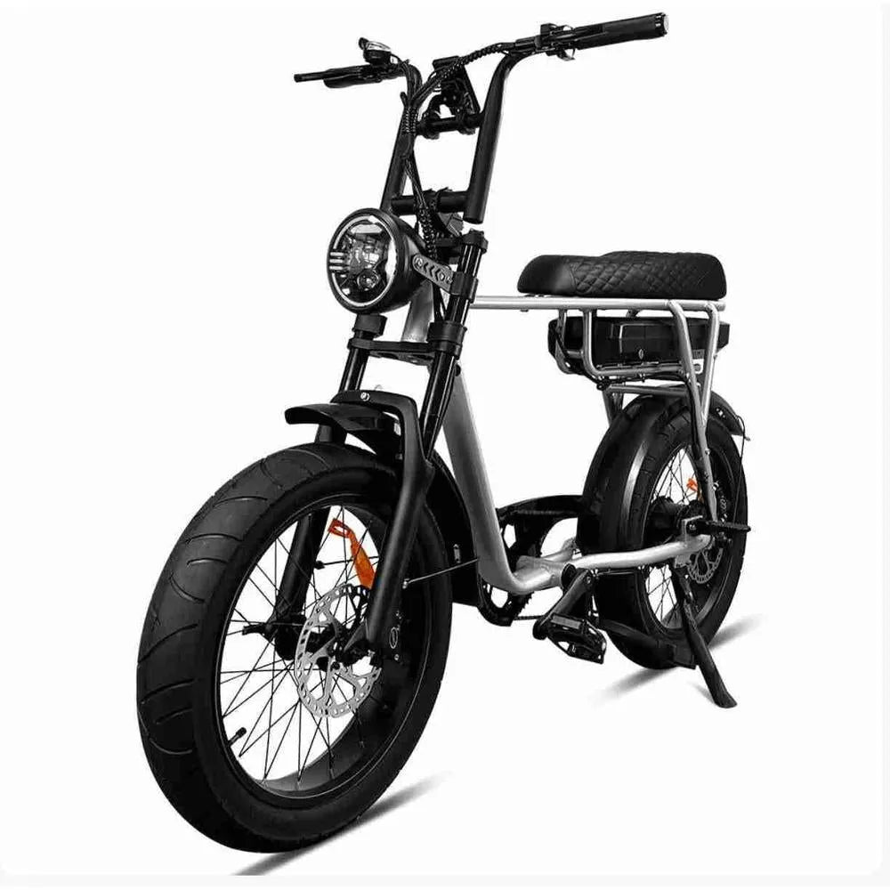 EB2 Fettfahrrad Silber + Alarm + Fußstützen